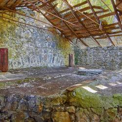 Отдых в Крыму | Гора Могаби - маршрут прогулки по лесу из Ялты