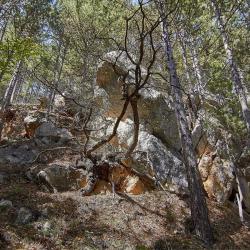 Отдых в Крыму | Гора Могаби - маршрут прогулки по лесу из Ялты