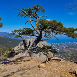 Отдых в Крыму | Боткинская тропа - маршрут горной прогулки из Ялты