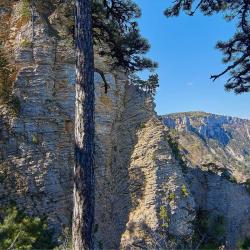 Отдых в Крыму | Ставрикайская тропа - маршрут восхождения на яйлу из Ялты