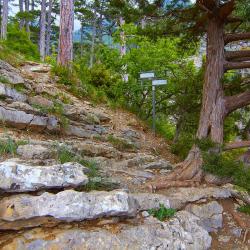 Отдых в Крыму | Штангеевская тропа - маршрут пешей прогулки из Ялты