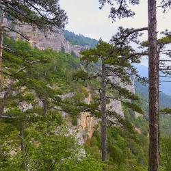 Отдых в Крыму | Штангеевская тропа - маршрут пешей прогулки из Ялты