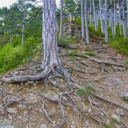 Отдых в Крыму | Таракташская тропа маршрут из Ялты - горная тропа
