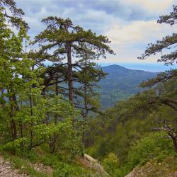 Отдых в Крыму | Таракташская тропа маршрут из Ялты - горная тропа