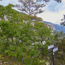 Таракташская тропа маршрут из Ялты - горная тропа